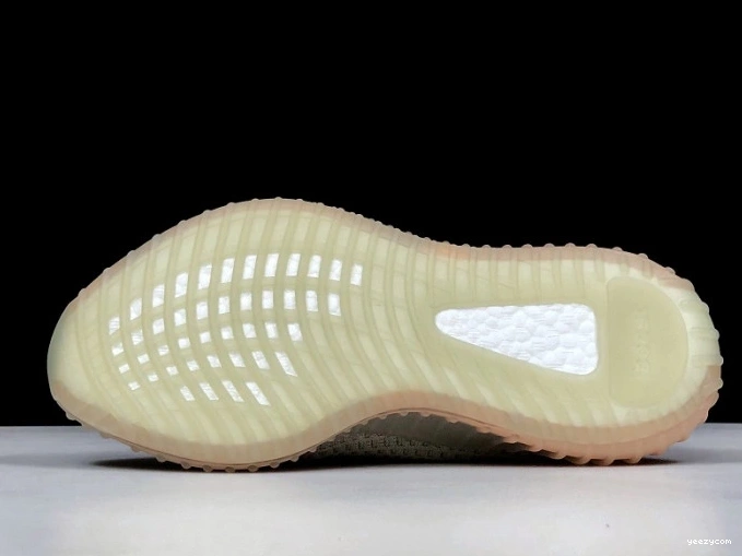 True 350 Form Adidas Boost Yeezy V2 EG7492 1105